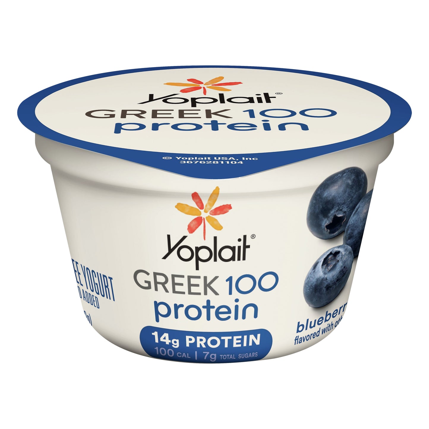 Yoplait Greek 100 Protein Fat Free Blueberry Yogurt 5.3 oz