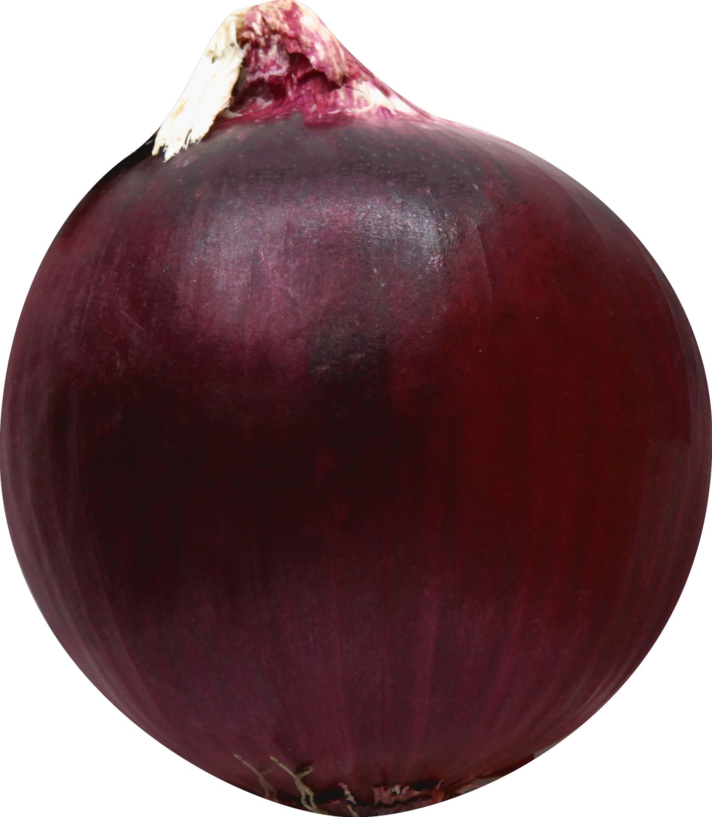 Red Onion