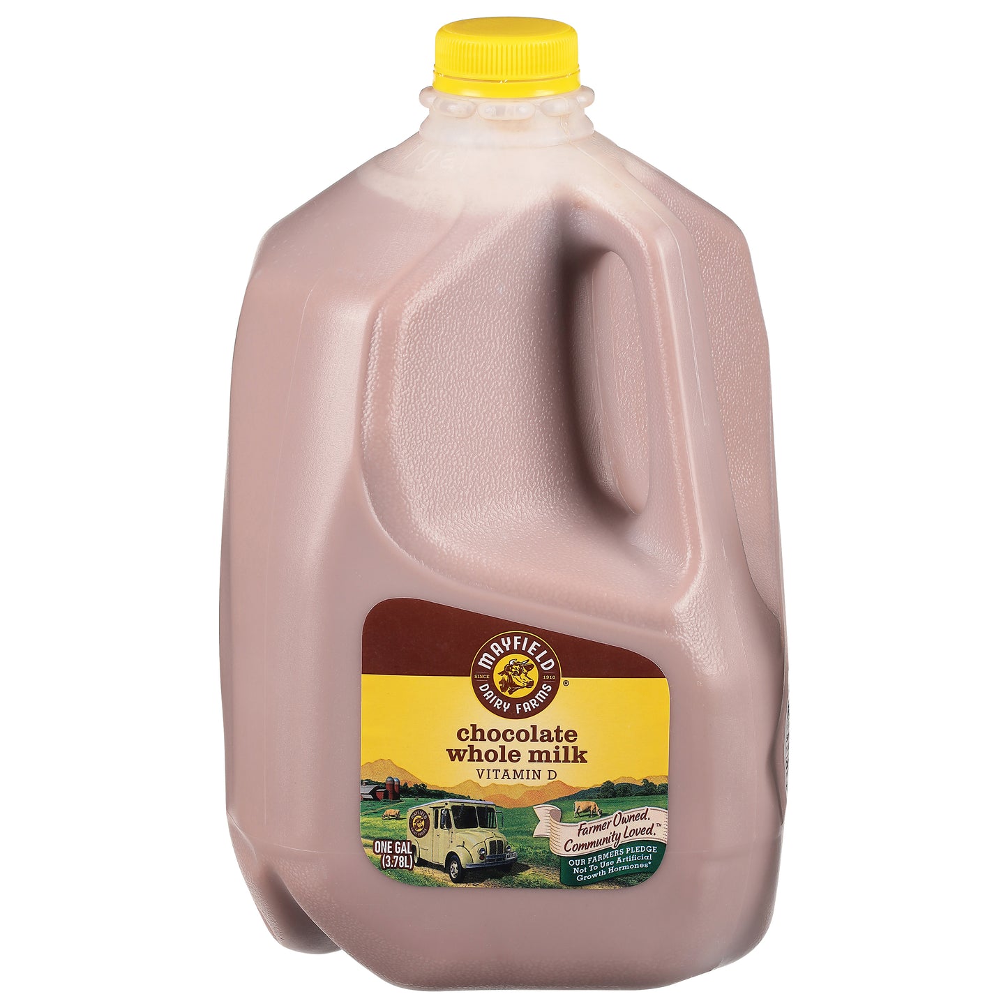 Mayfield Dairy Farms Vitamin D Whole Chocolate Milk 1 gal