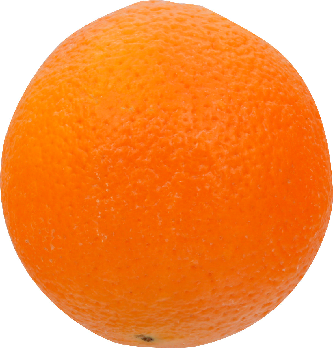 Navel Orange - Large