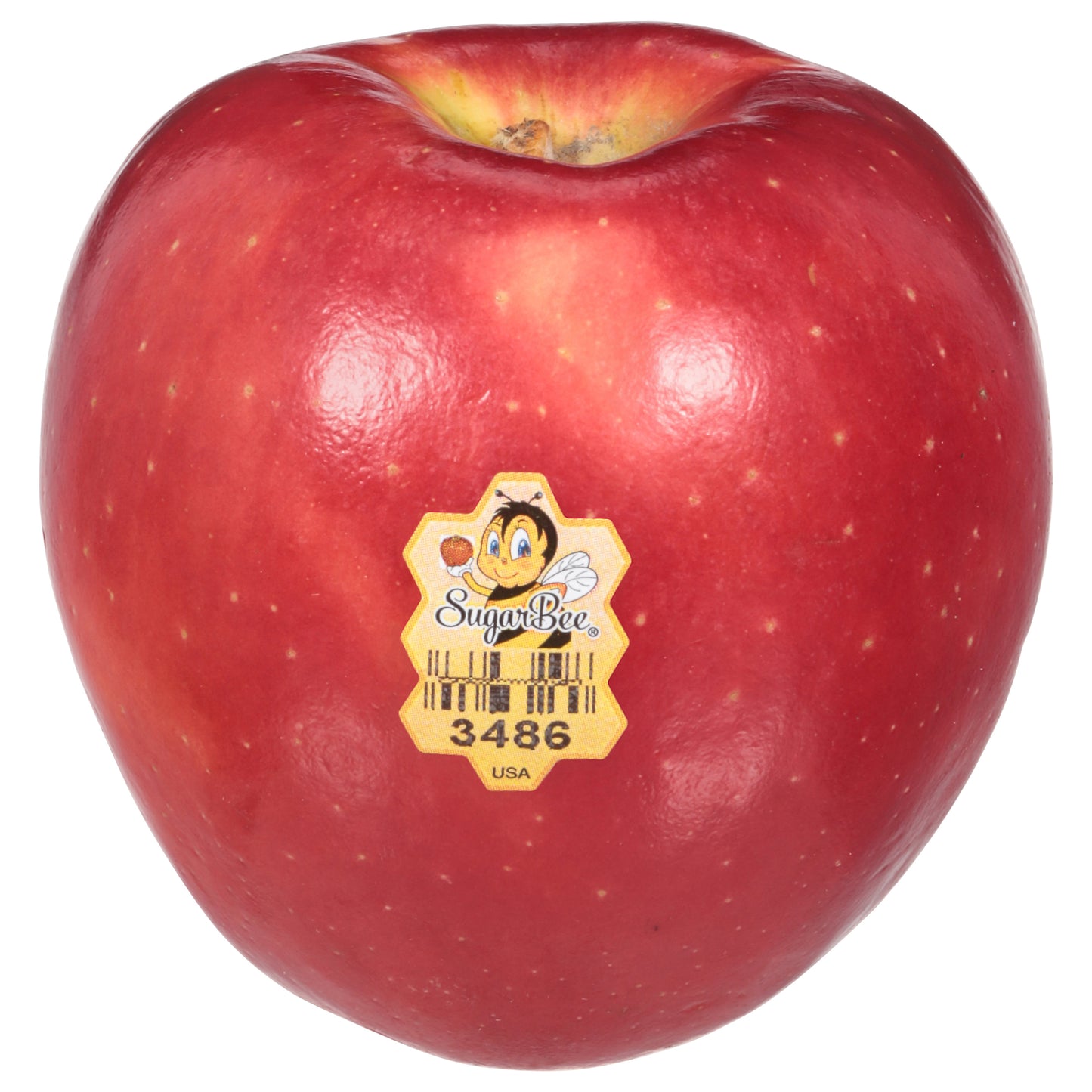 Sugar Bee Apple