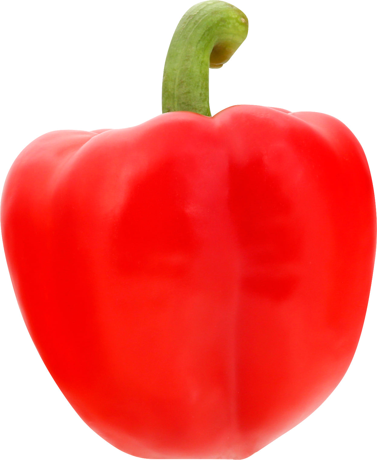 Brown Bell Pepper - Field Grown