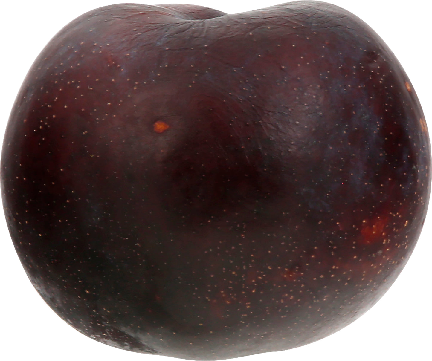 Black Plums - Large