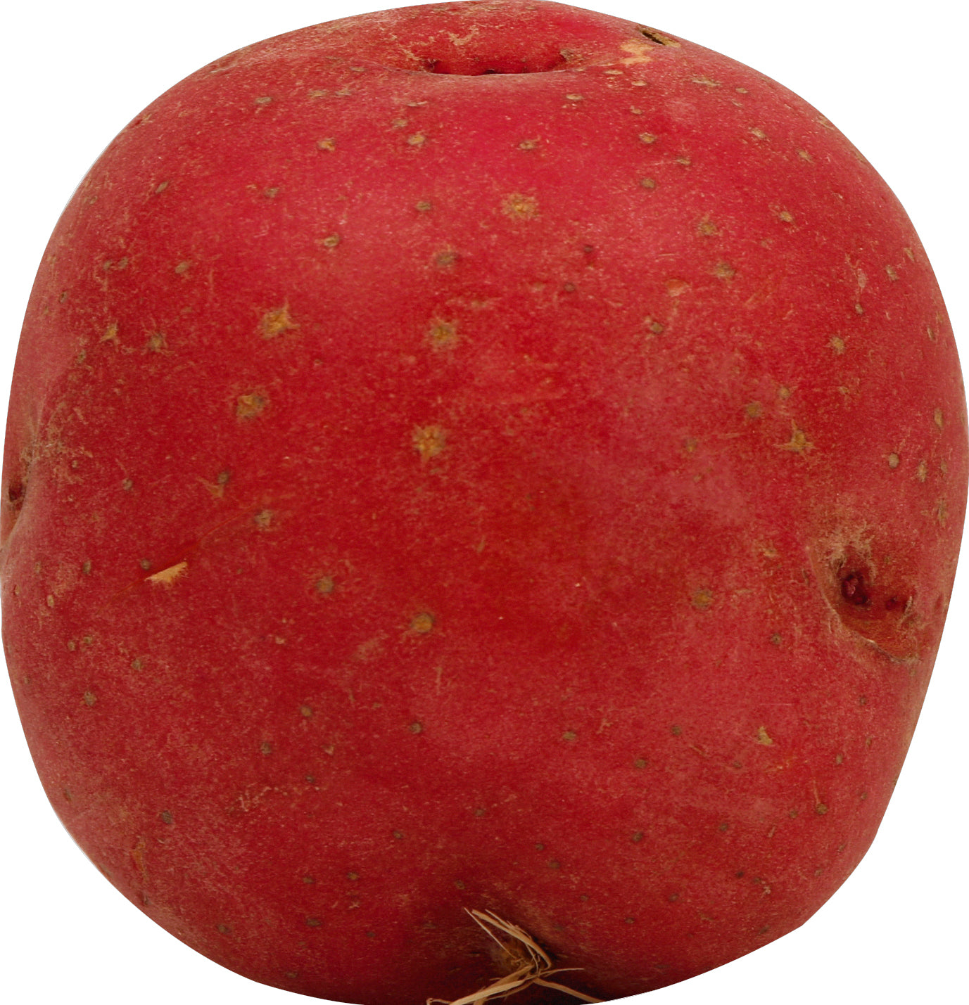 Red Potatoes - 8LB Bag