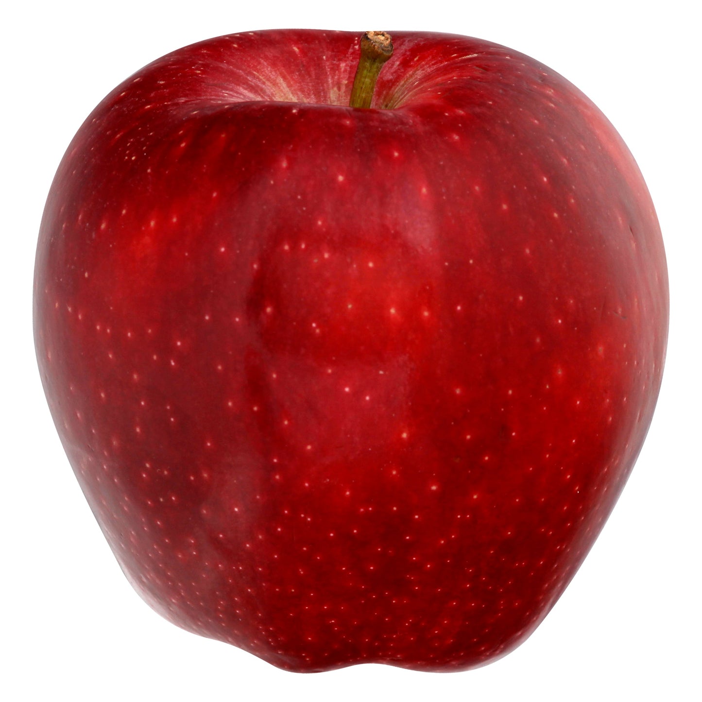 Red Delicious Apple - Large