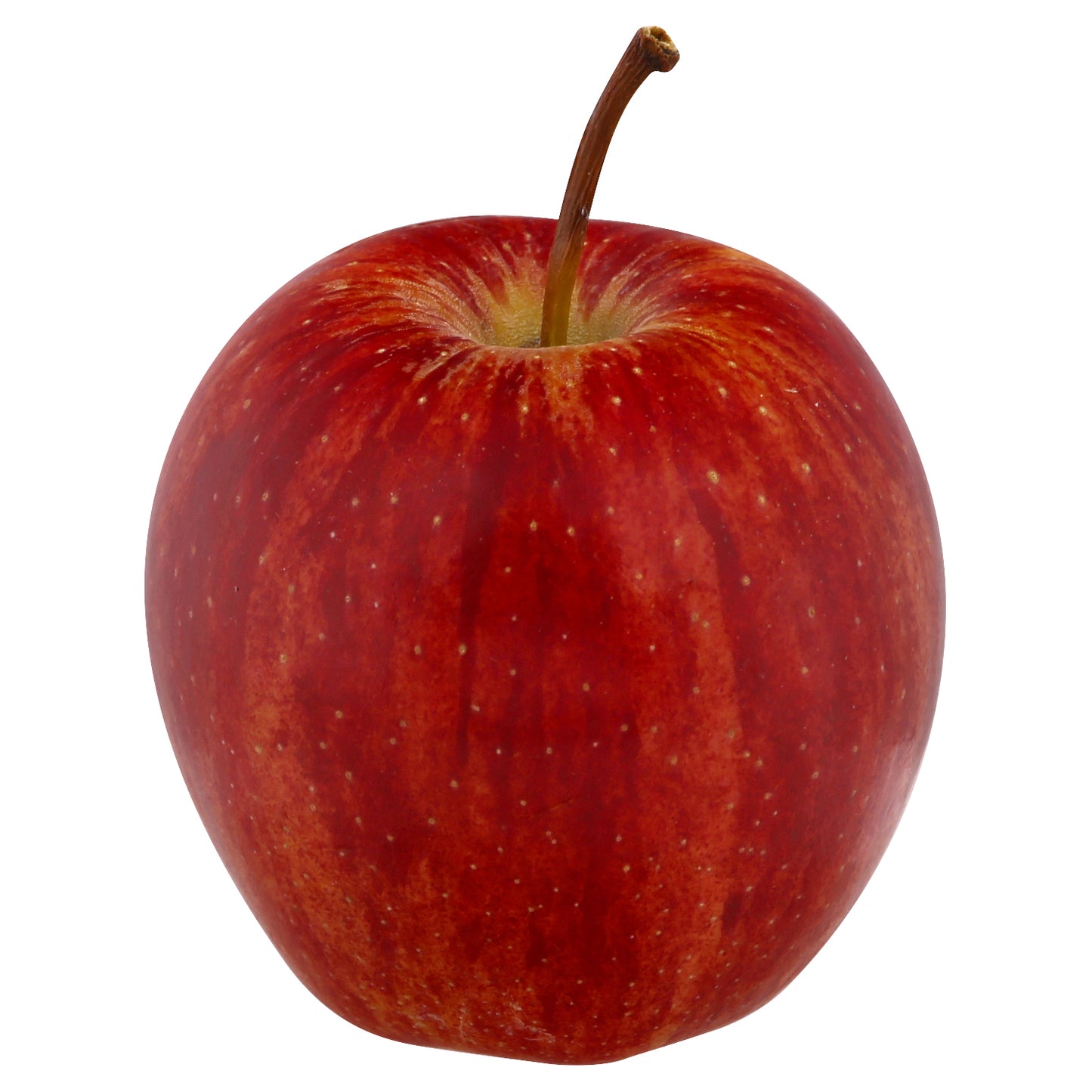 Gala Apple