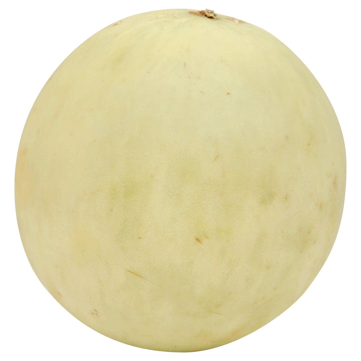 Honeydew Melon - Large