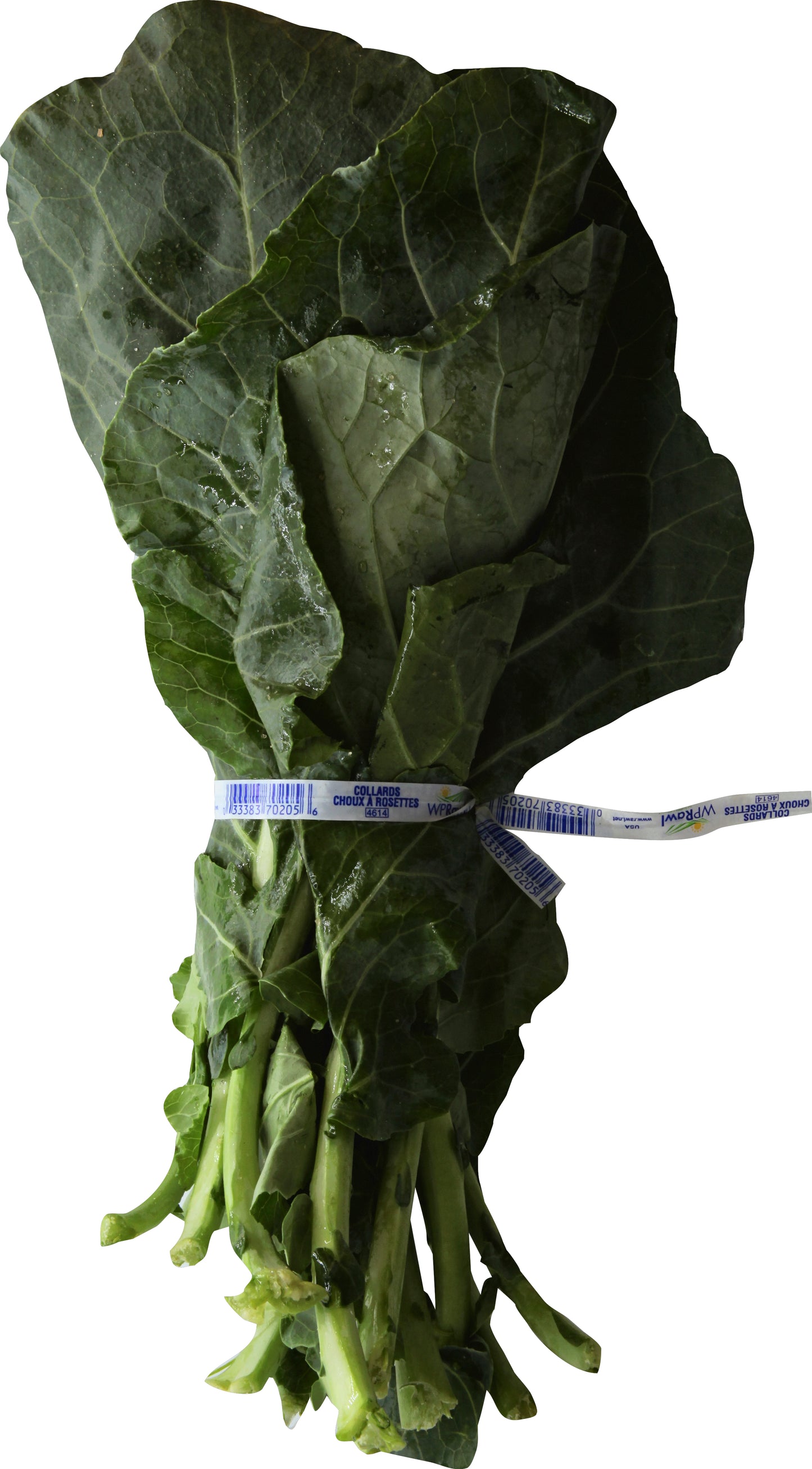 Collard Greens