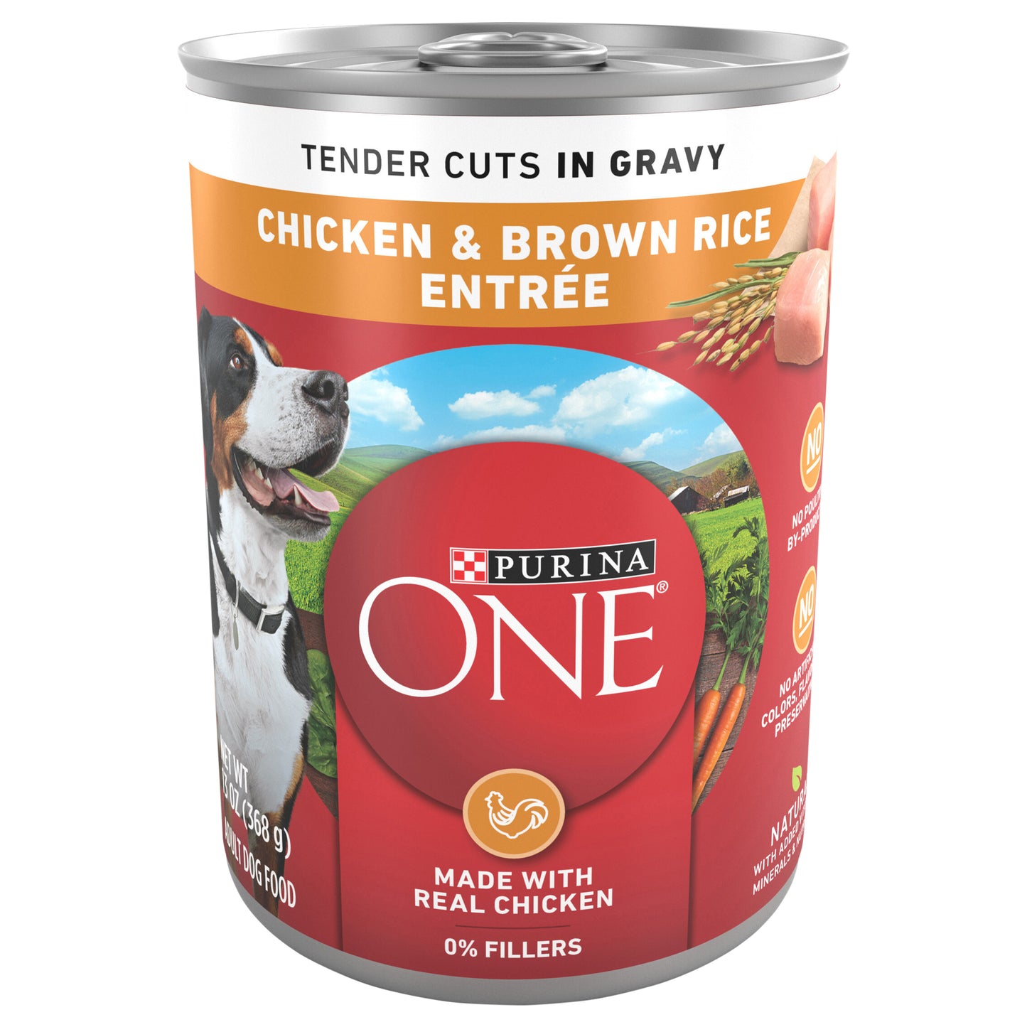 Purina ONE Tender Cuts in Wet Dog Food Gravy Chicken and Brown Rice Entree - 13 oz. Can