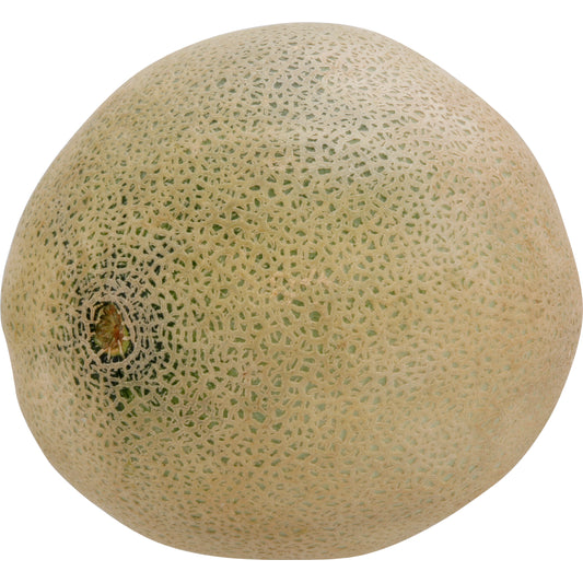 Cantaloupe - Large