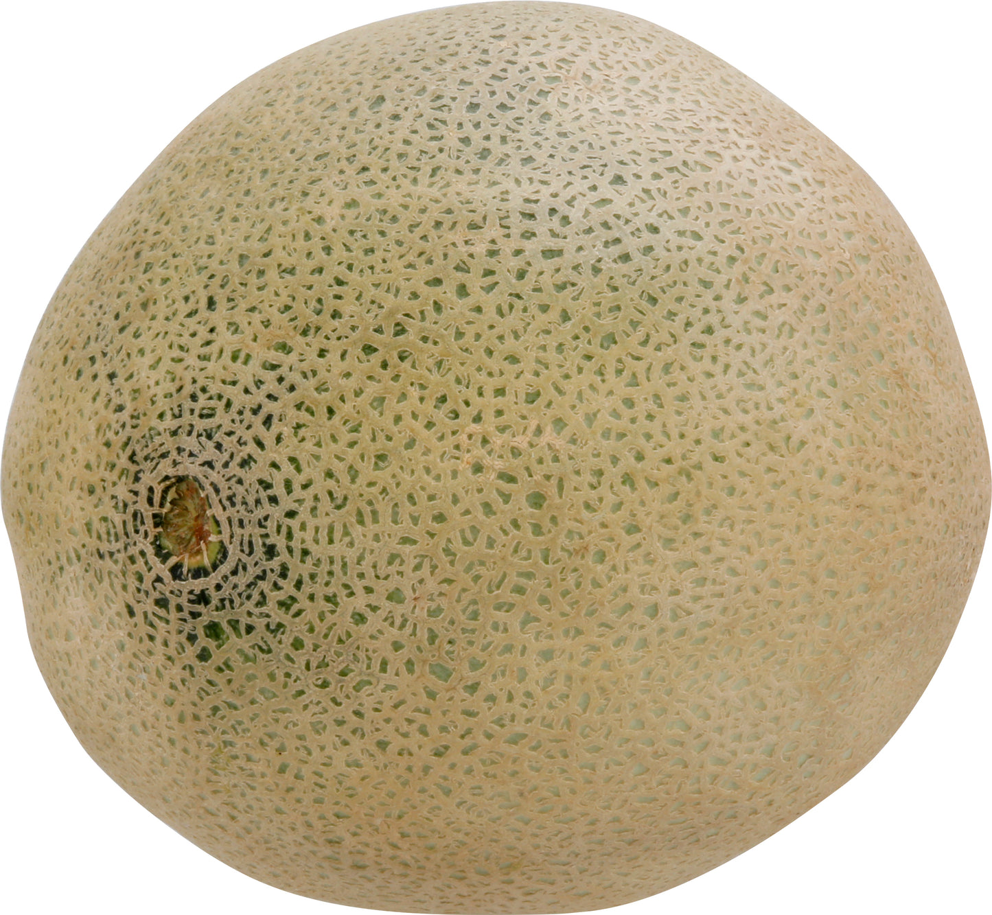 Cantaloupe