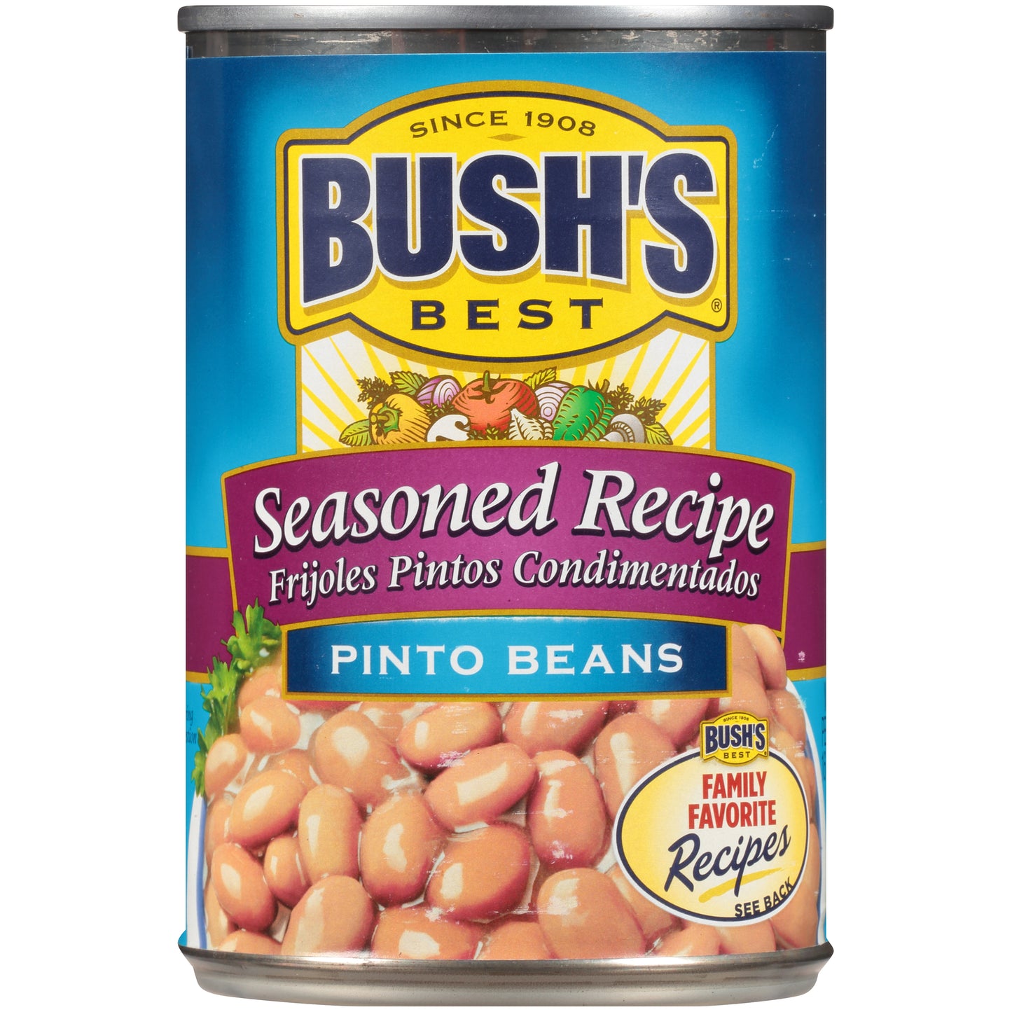 Bush’s Best® Seasoned Recipe Pinto Beans 16 oz. Can