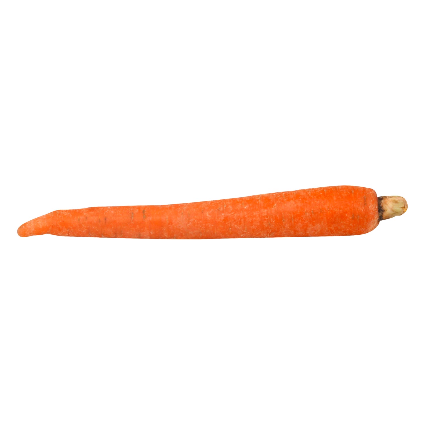 Organic Carrot