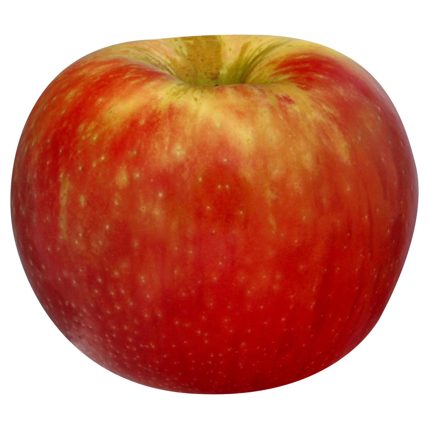 Eastern Honeycrisp Apple