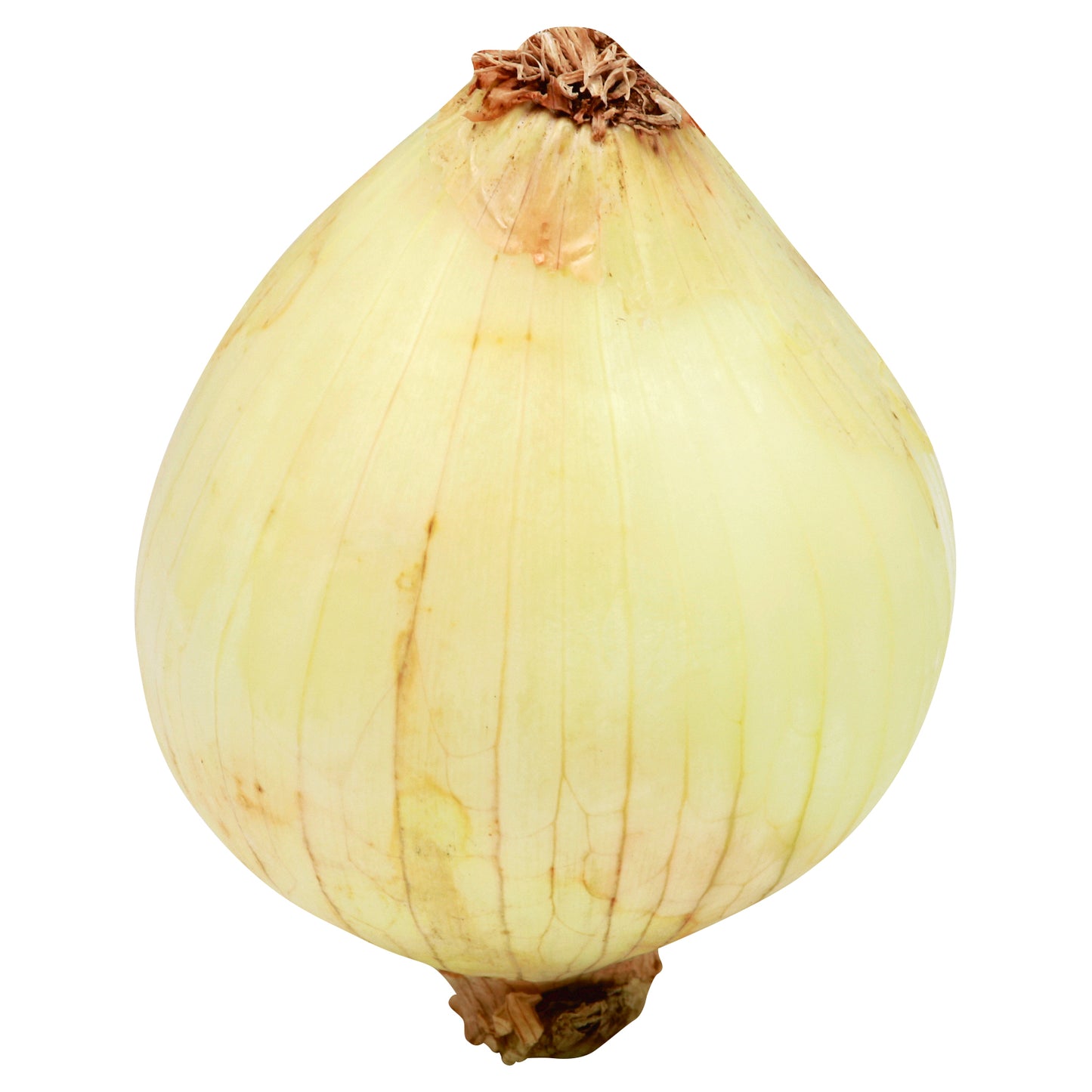 Yellow Onion - Bag