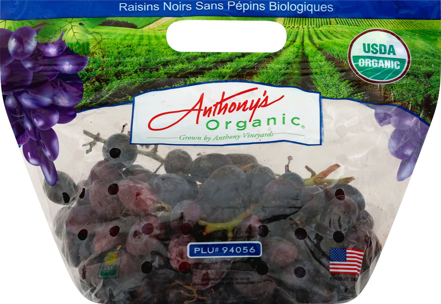 Blue/Black Seedless Grapes