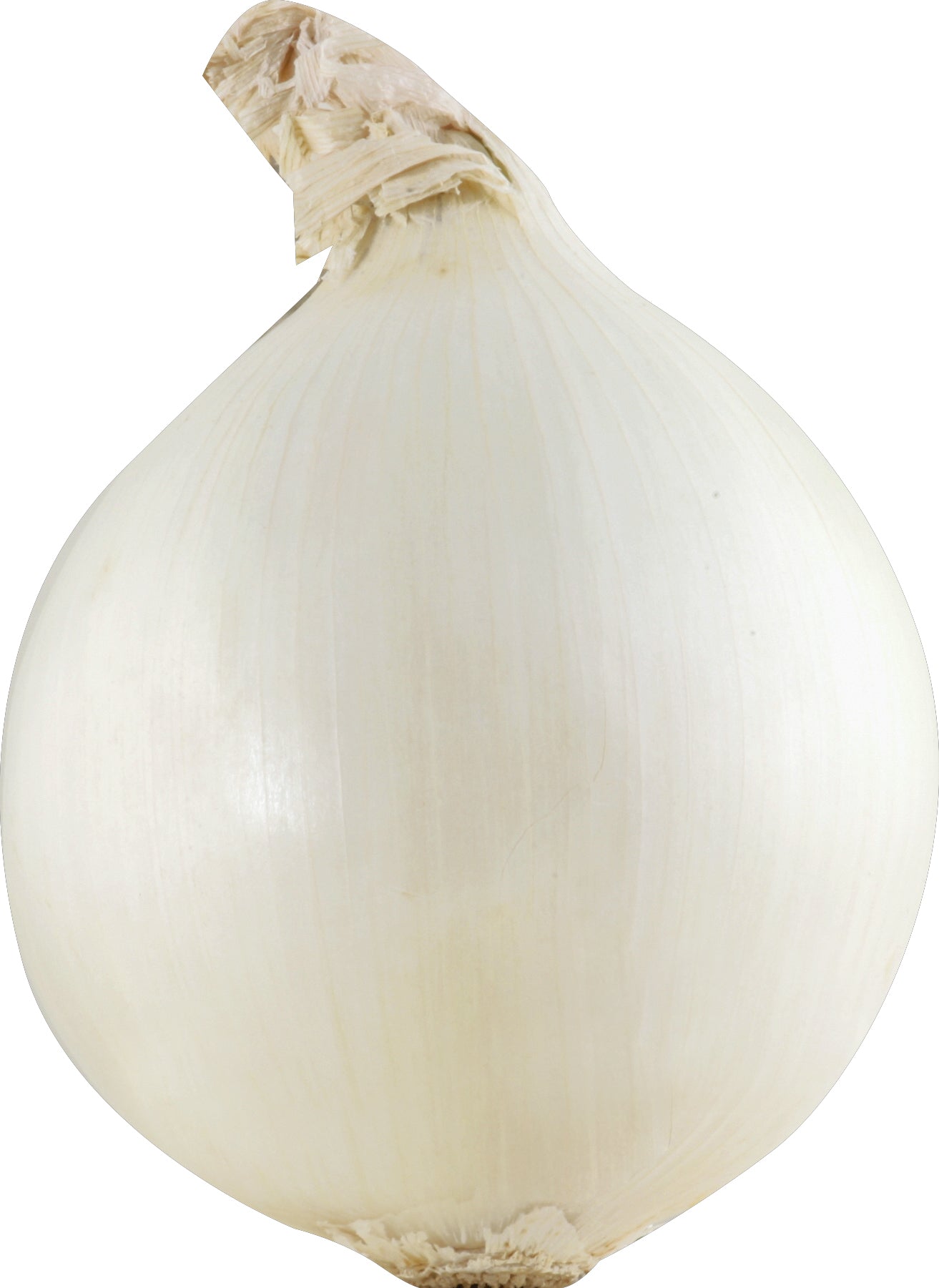 White Onion - 2LB