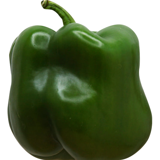 Orange Bell Pepper - Greenhouse