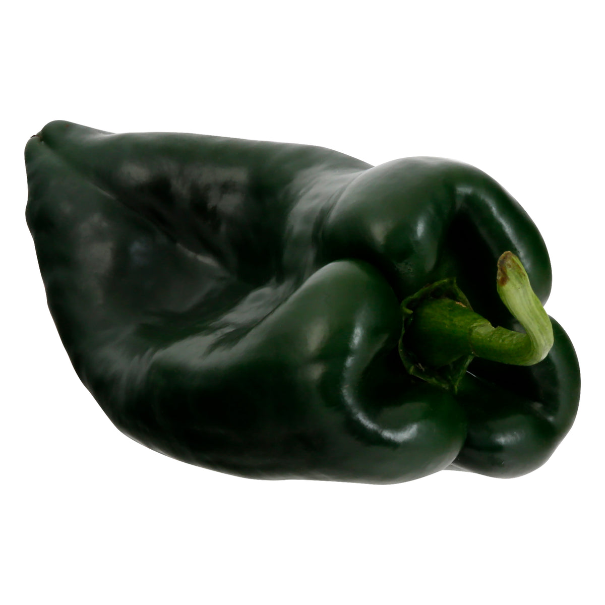 Poblano Pepper