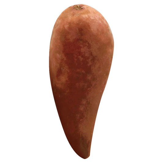 Sweet Potato - White