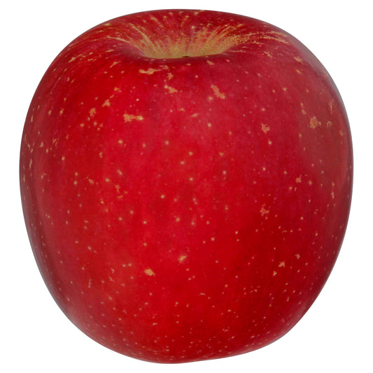 Fuji Apple - Large