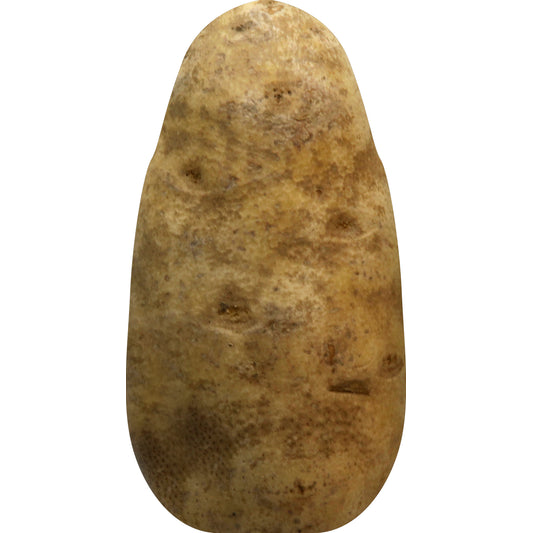 Russet Potato - Jumbo