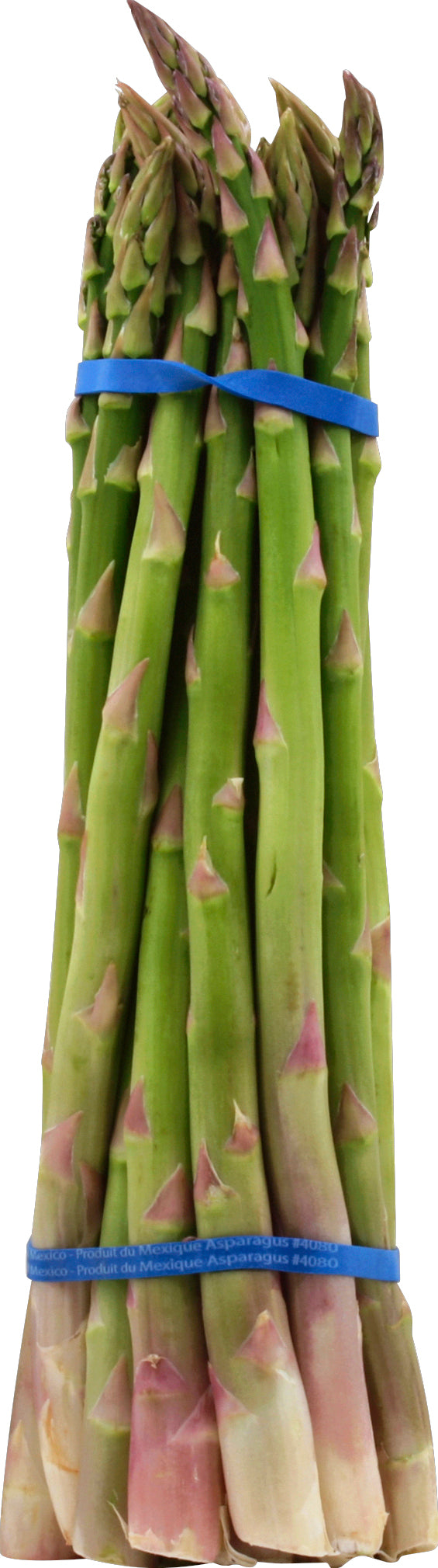 Green Asparagus - Bunch