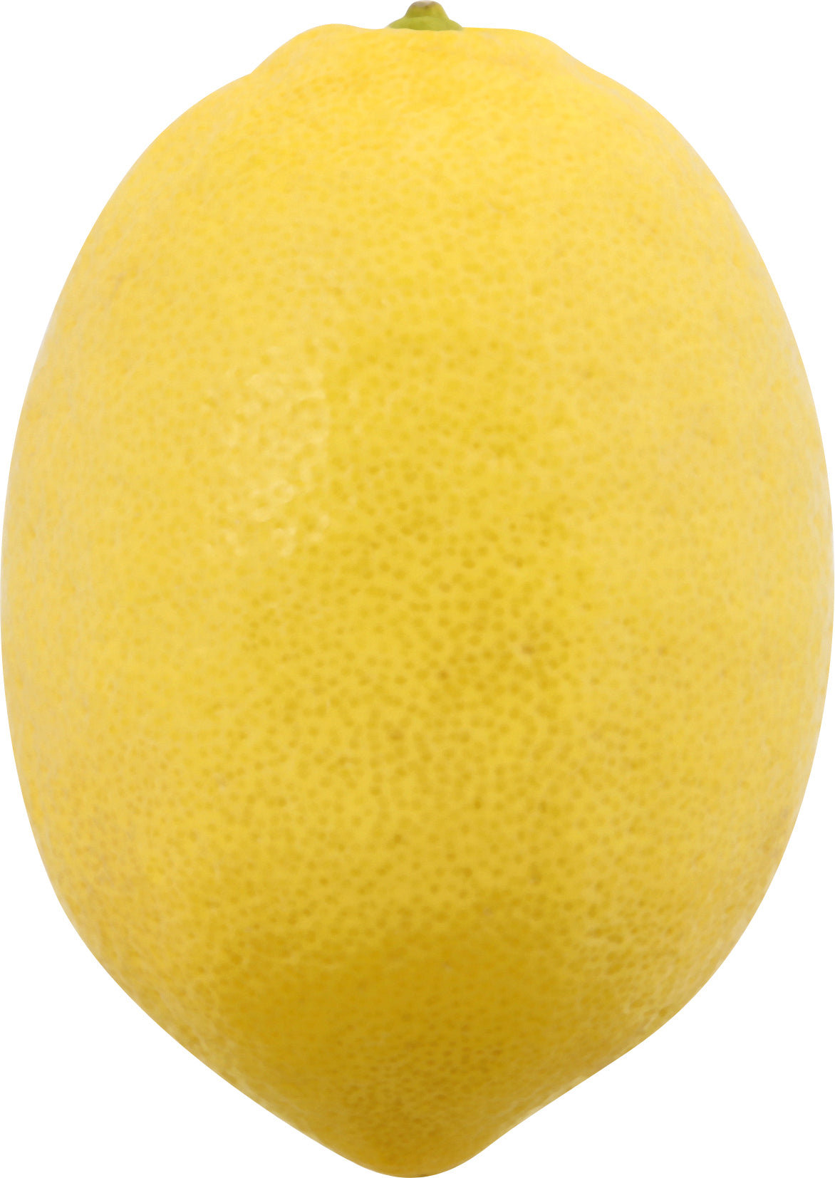 Lemon - Large