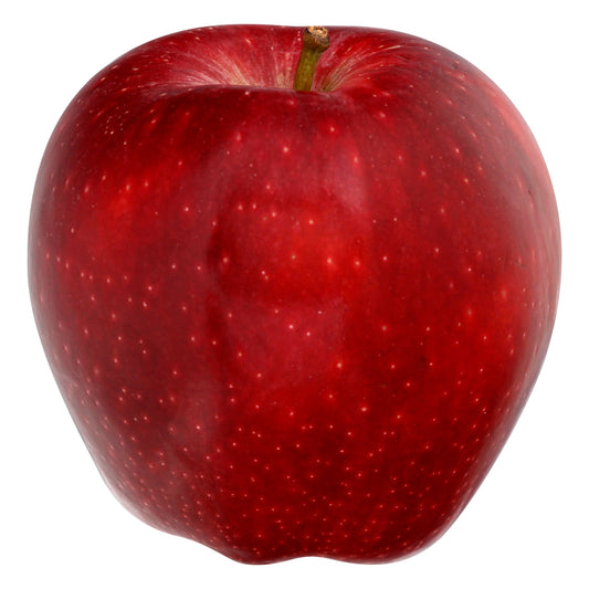 Red Delicious Apple - Large