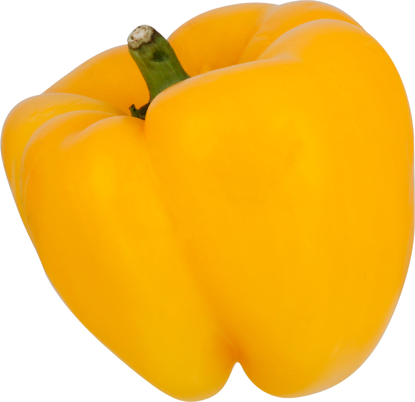 Yellow Bell Pepper - Field Grown