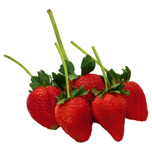 Seven Seas Strawberries 16 oz